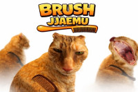 Brush Jjaemu