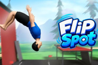Flip Spot