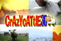 Crazy Cattle 3D +